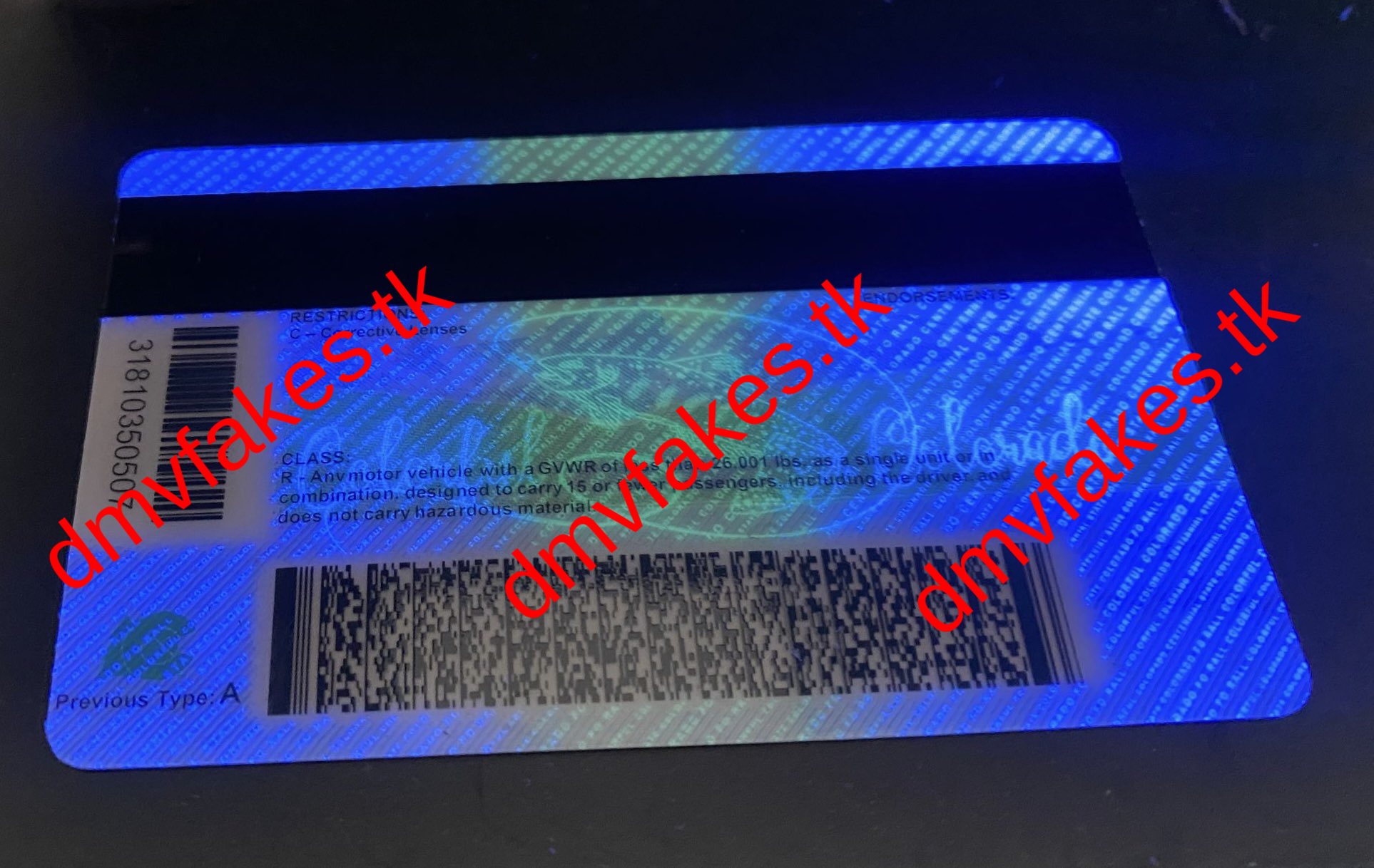 New Colorado Review Image 3